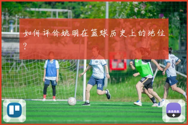 如何评价姚明在篮球历史上的地位?