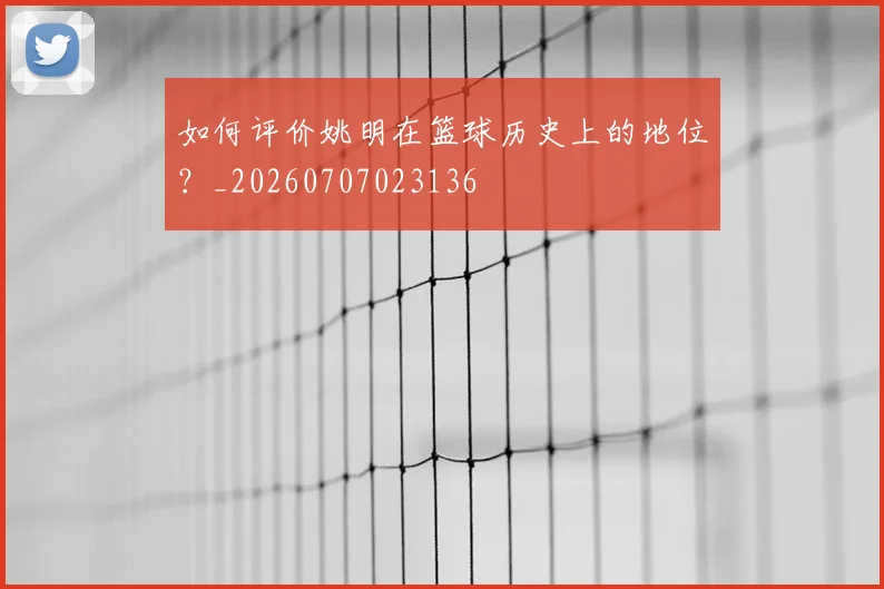 如何评价姚明在篮球历史上的地位？_20260707023136